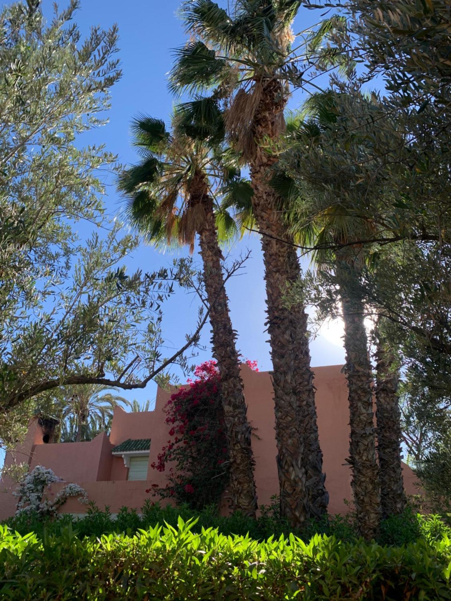 Villa Avec Piscine Privatisee A La Palmeraie Marrakesh Bagian luar foto