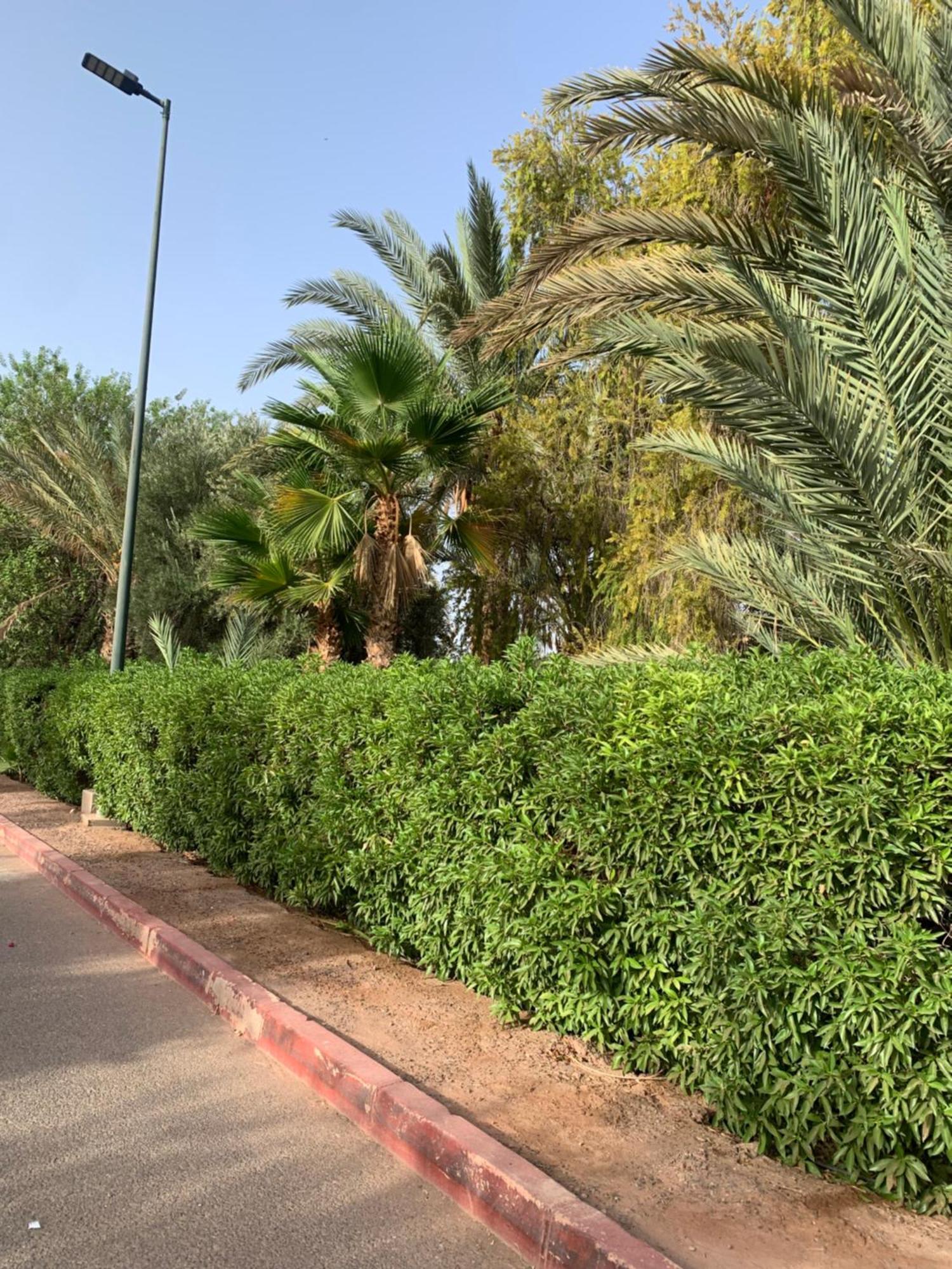 Villa Avec Piscine Privatisee A La Palmeraie Marrakesh Bagian luar foto